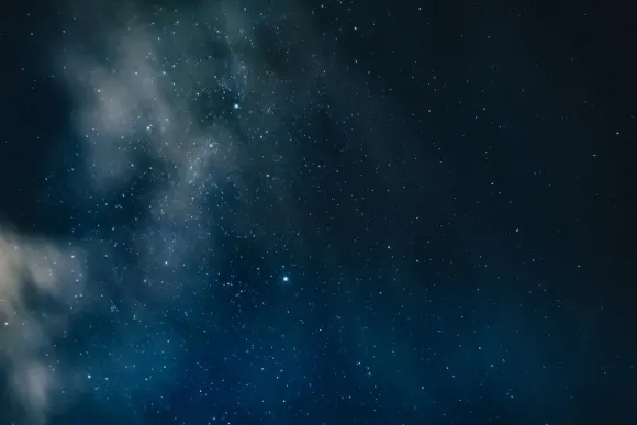 카지노 위키드 잭팟츠 지원